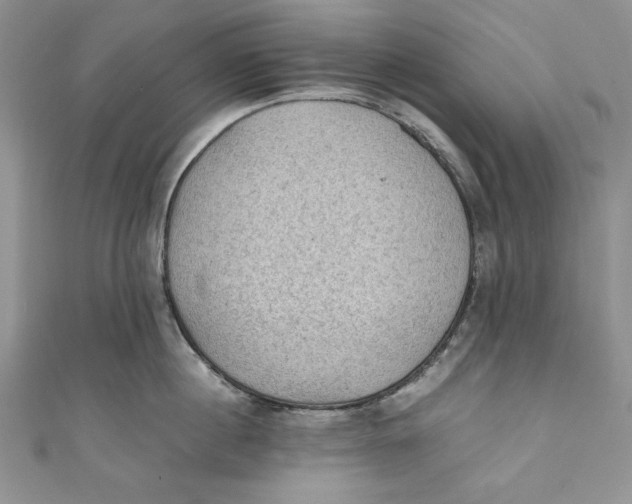 X0000110890860200907091352