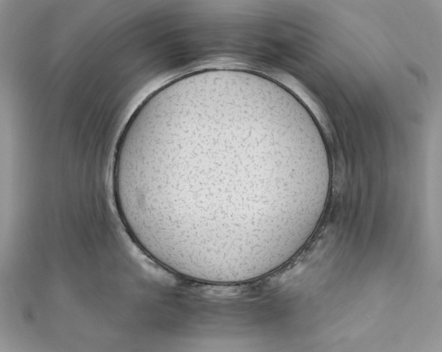 X0000110890861200907091352