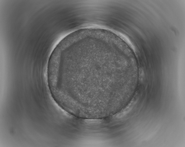 X0000110890863200907091352