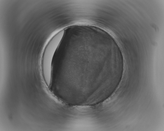 X0000110890864200907091352