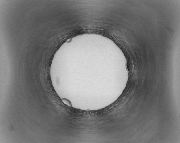 X0000110890865200907091352