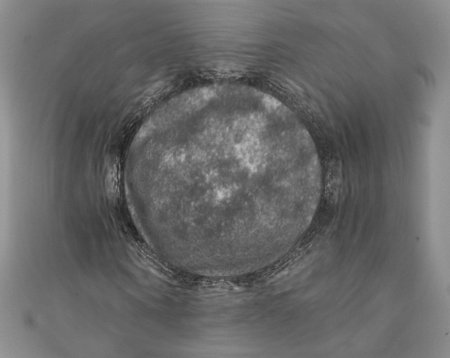 X0000110890866200907091352