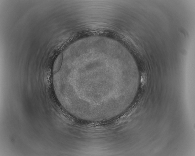 X0000110890867200907091352