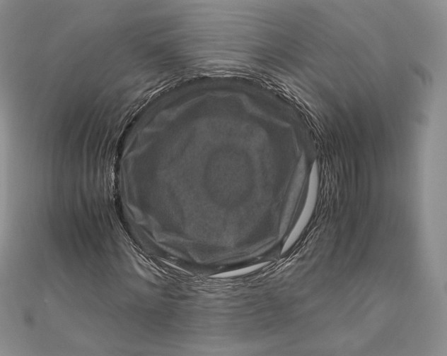 X0000110890868200907091352