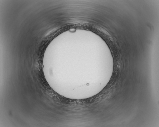 X0000110890869200907091352