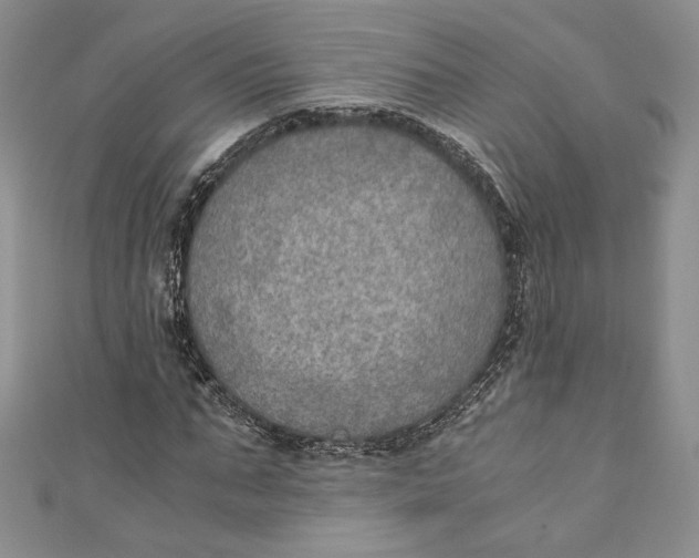 X0000110890871200907091352