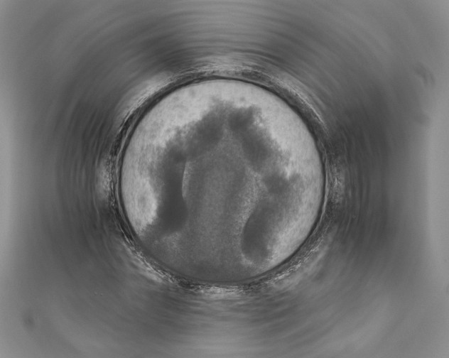 X0000110890874200907091352