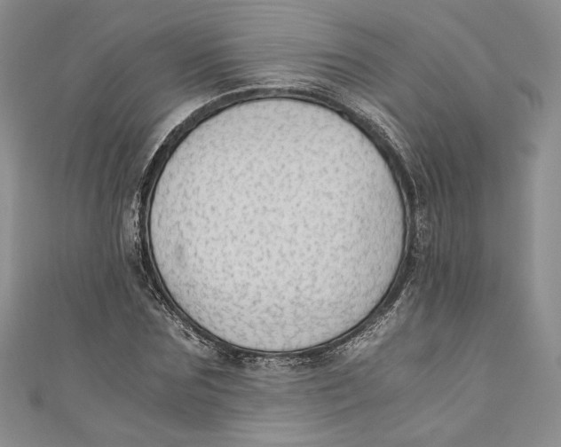 X0000110890875200907091352