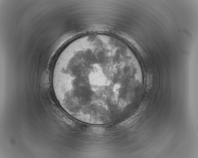 X0000110890878200907091352