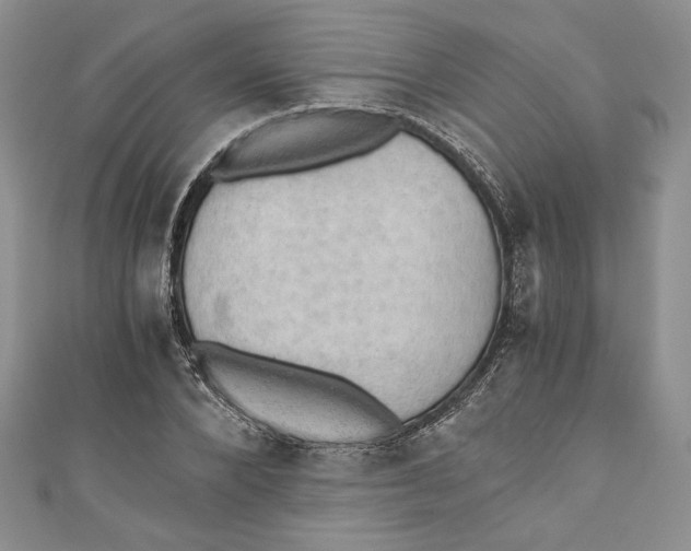 X0000110890880200907091352