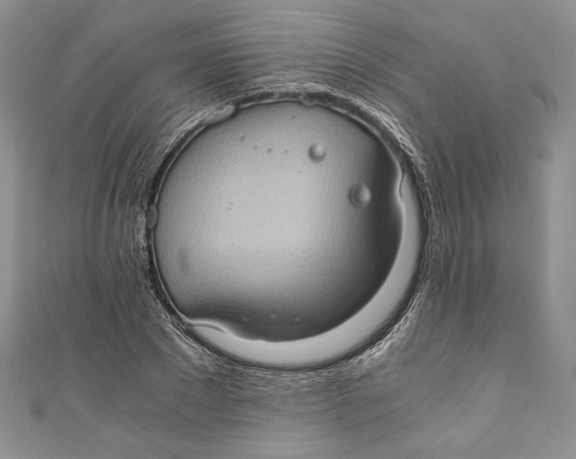 X0000110890881200907091352