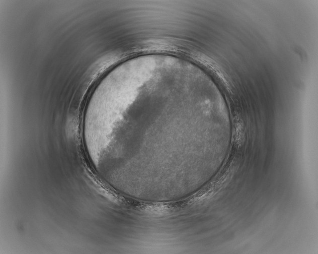 X0000110890882200907091352