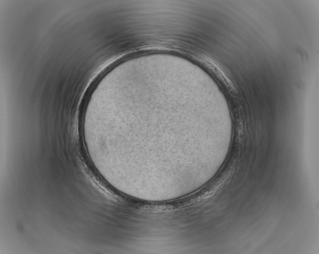 X0000110890884200907091352