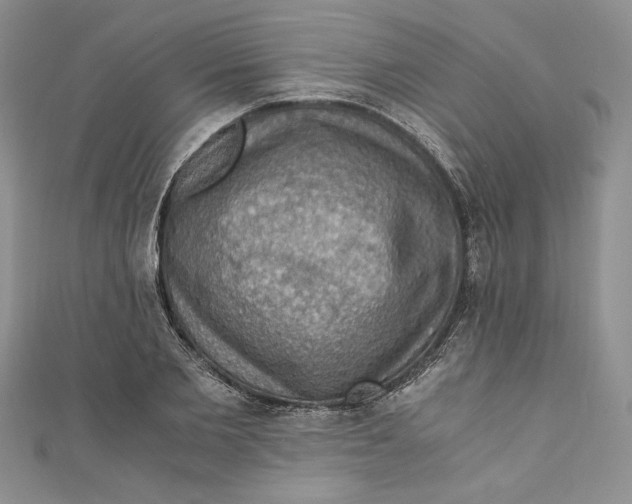 X0000110890885200907091352