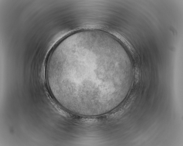 X0000110890886200907091352