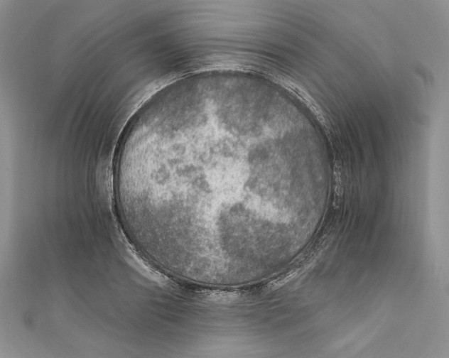 X0000110890890200907091352