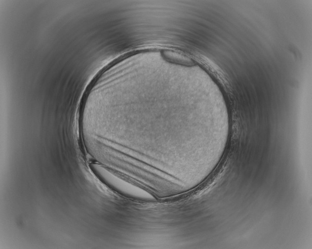 X0000110890892200907091351