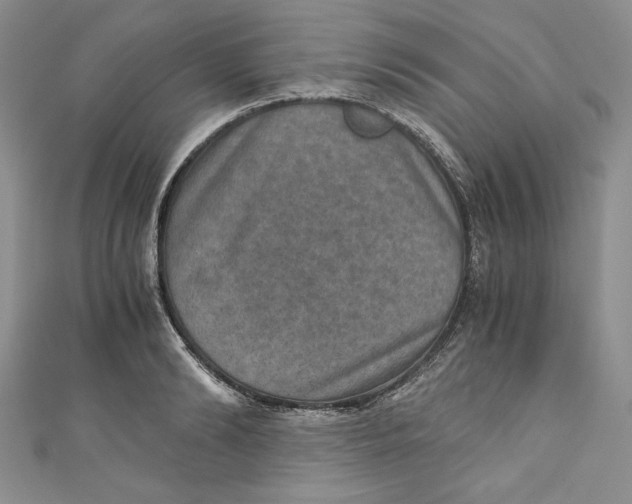 X0000110890894200907091351