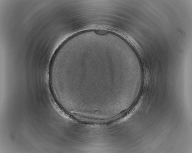 X0000110890896200907091351