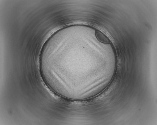 X0000110890898200907091351