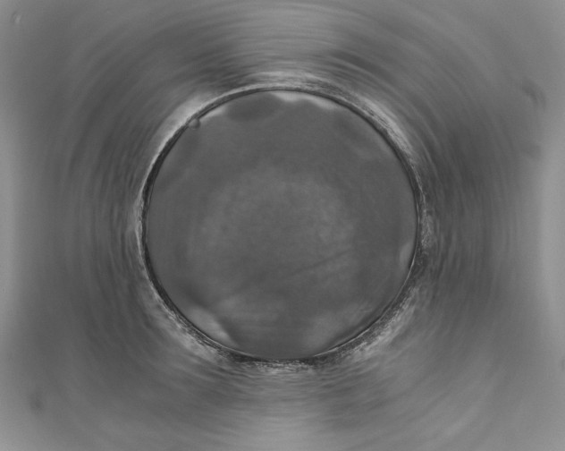 X0000110890899200907091351