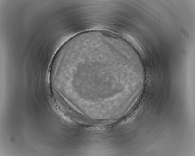 X0000110890900200907091351