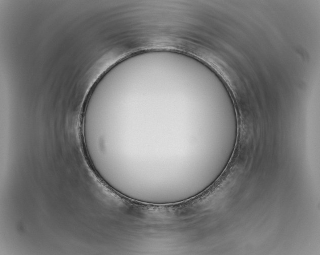 X0000110890901200907091351