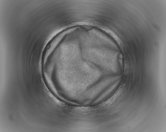 X0000110890902200907091351