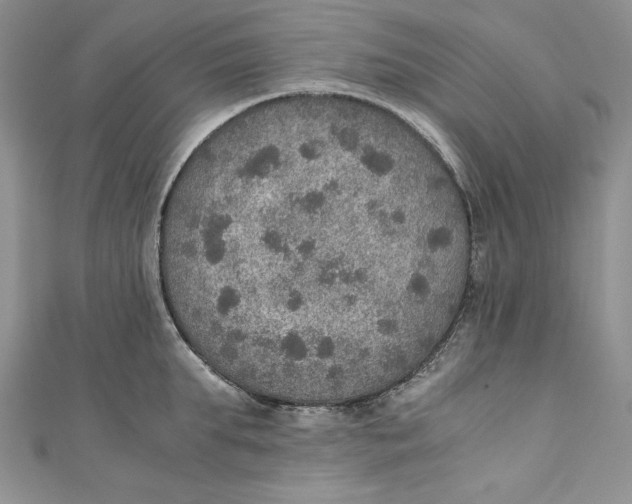 X0000110890903200907091351