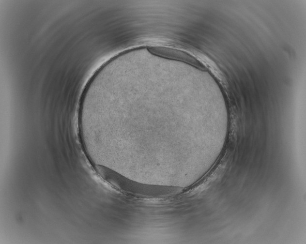 X0000110890904200907091351