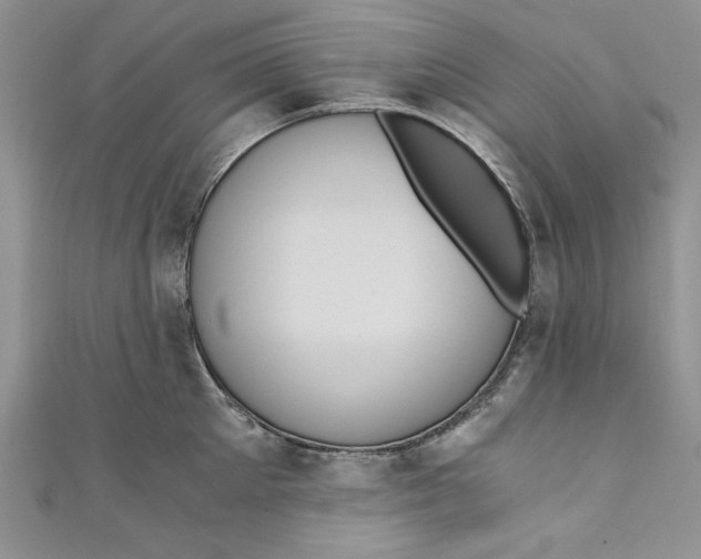 X0000110890905200907091351