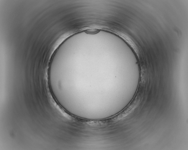 X0000110890906200907091351