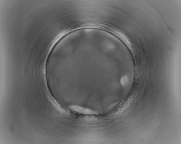 X0000110890907200907091351