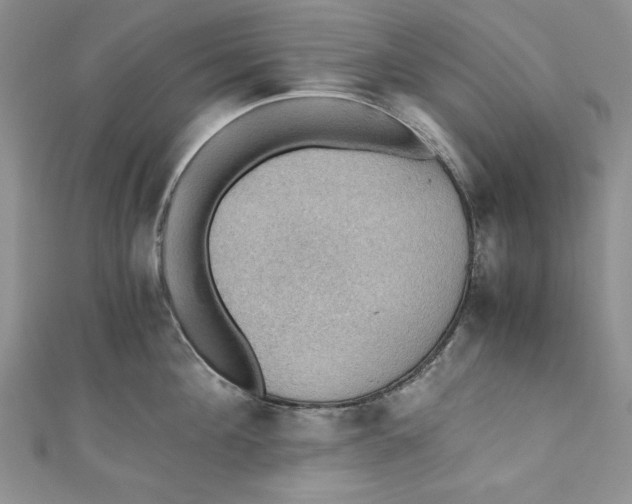 X0000110890908200907091351