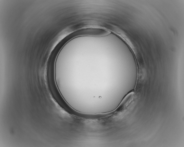 X0000110890909200907091351