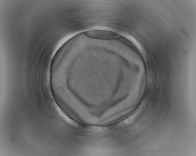 X0000110890910200907091351