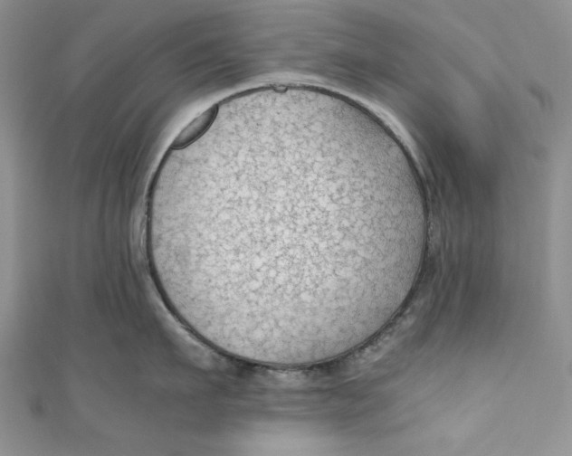 X0000110890911200907091351