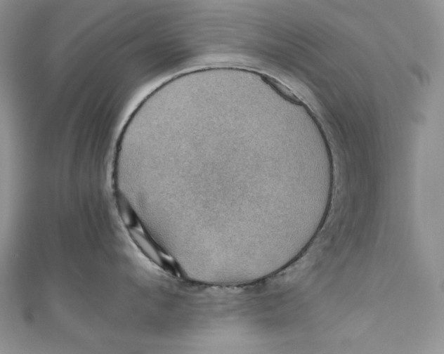 X0000110890912200907091351