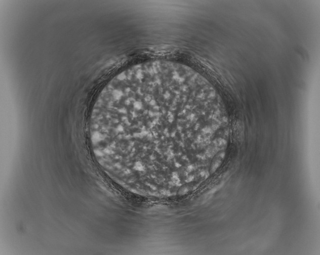 X0000110890913200907091350