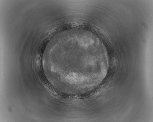 X0000110890914200907091350