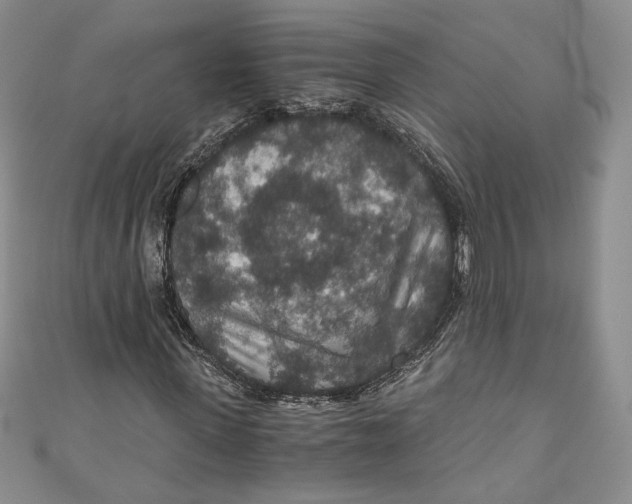 X0000110890915200907091350