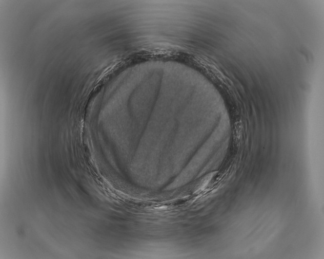 X0000110890916200907091350