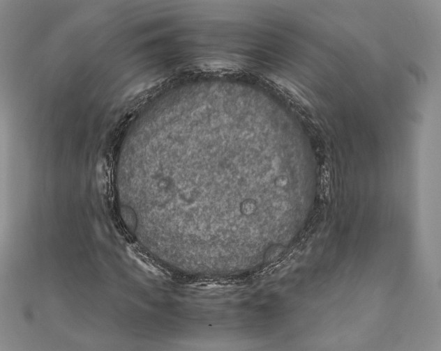 X0000110890917200907091351