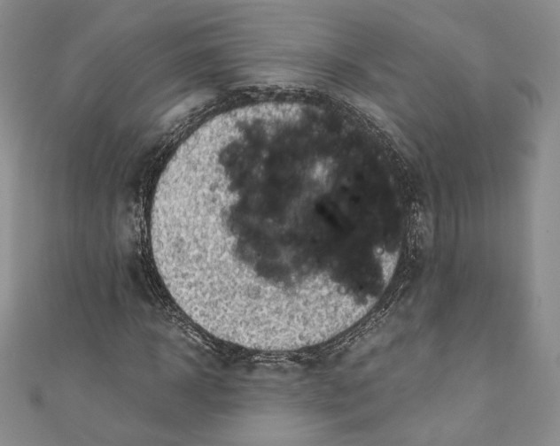 X0000110890918200907091351