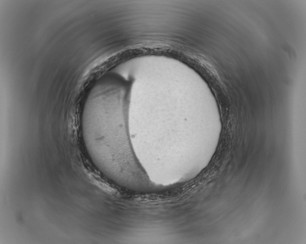 X0000110890920200907091351