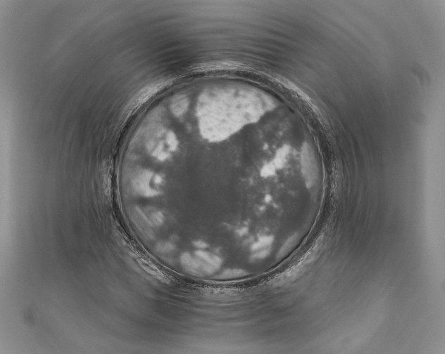 X0000110890921200907091351