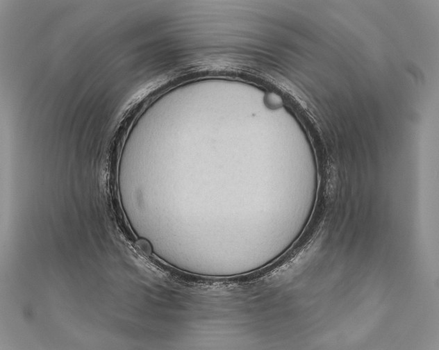 X0000110890922200907091351