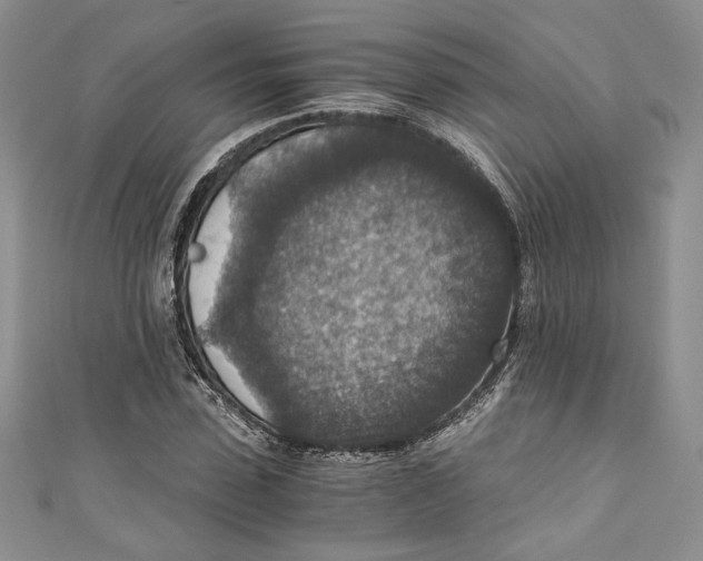 X0000110890923200907091351