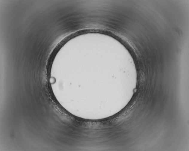 X0000110890927200907091351