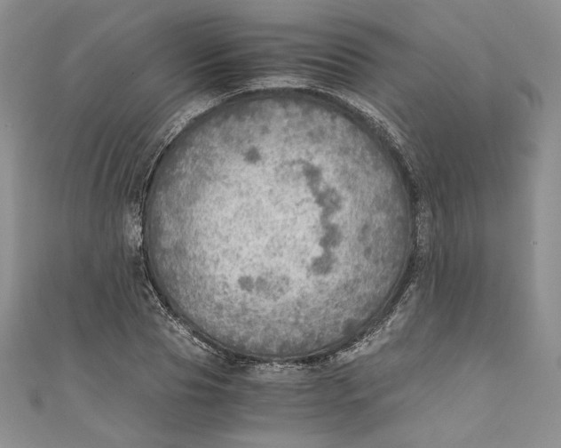 X0000110890929200907091351